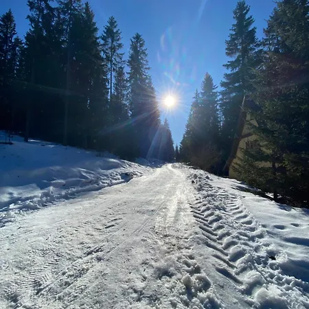 Apartment Snjezna Kraljica 1 *