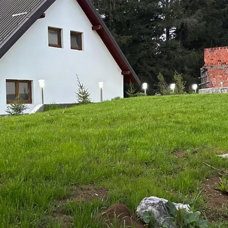 Snjezna Kraljica 1 * Vlasic